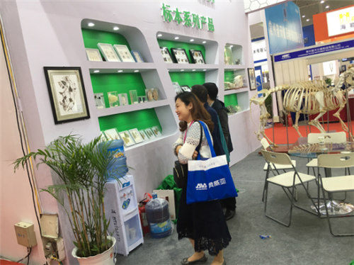 祝賀雨林參展4月教育“兩會(huì)”圓滿(mǎn)成功 祝賀雨林參展4月教育“兩會(huì)”圓滿(mǎn)成功