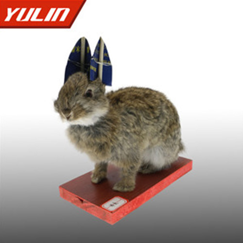 草兔標本
